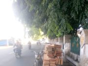 Kayu Diduga Tanpa Dokumen di Sorot, LSM Desak Petugas Bertindak